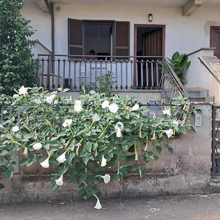A Casa Ida Apartment Bagnoregio Exterior foto